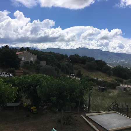Apartment A Leccia Aja d'Onica